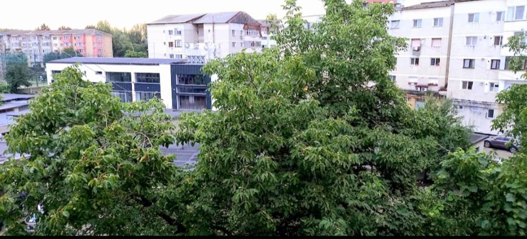 33 Coquette Apartment Baia Mare Exterior foto