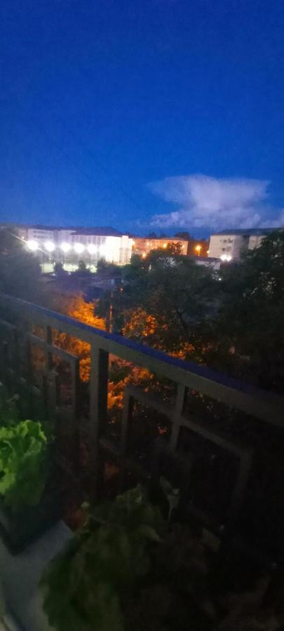 33 Coquette Apartment Baia Mare Exterior foto