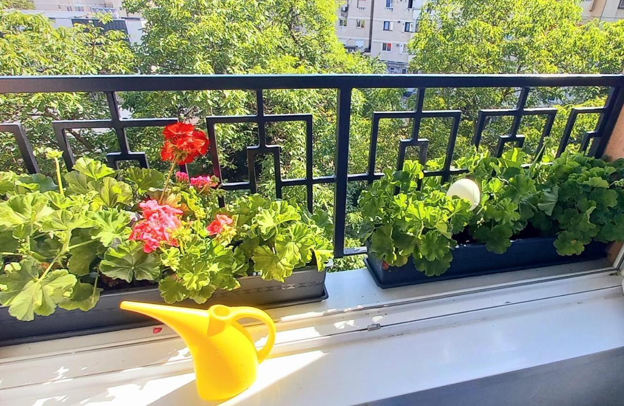 33 Coquette Apartment Baia Mare Exterior foto